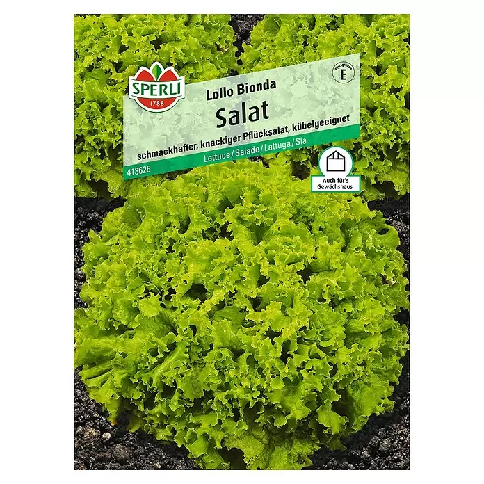Sperli Salatsamen Pflücksalat - Lollo Bionda, Lactuca sativa, Erntezeit: April - Vorderansicht