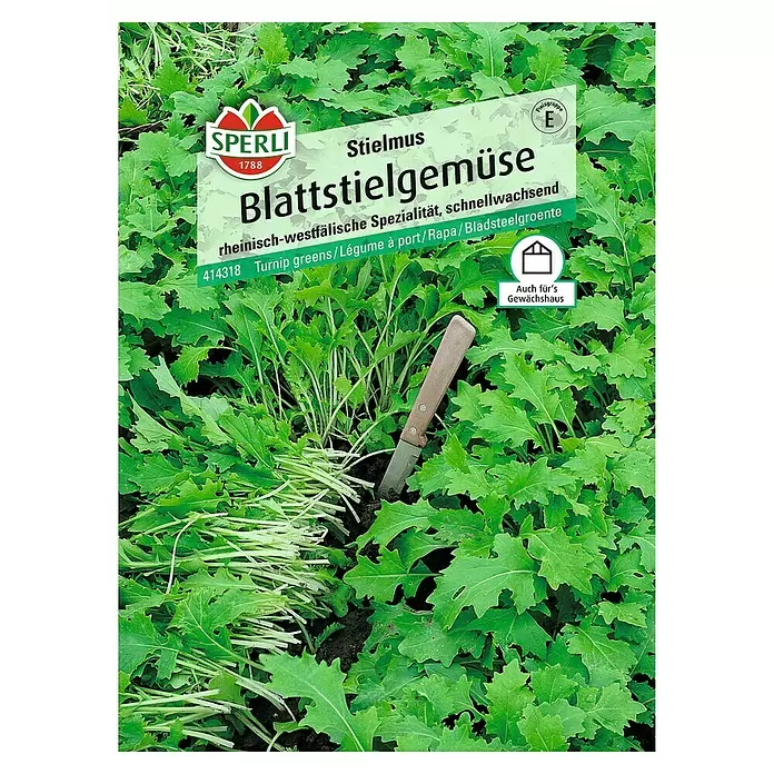 Sperli Gemüsesamen Blattstielgemüse - Brassica rapa, Erntezeit: Mai - Vorderansicht