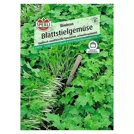 Sperli  Gemüsesamen Blattstielgemüse