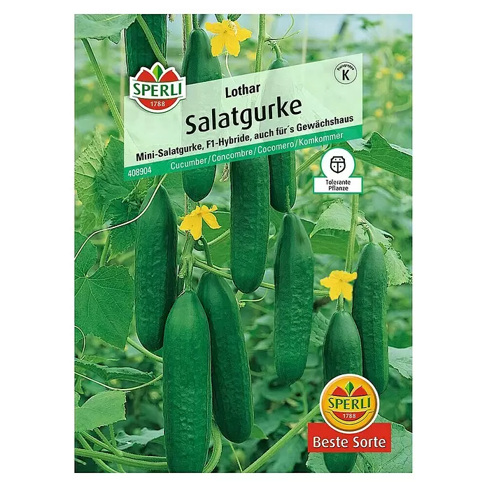 Sperli Gemüsesamen Salatgurke - Lothar, Cucumis sativus, Erntezeit: Juni - Vorderansicht