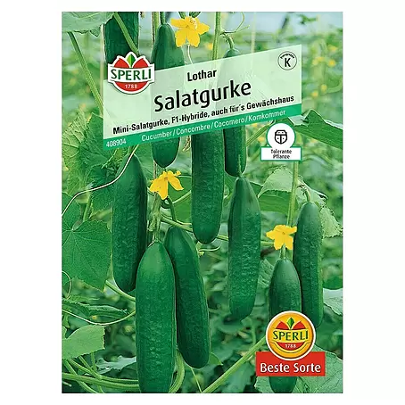 Sperli  Gemüsesamen Salatgurke