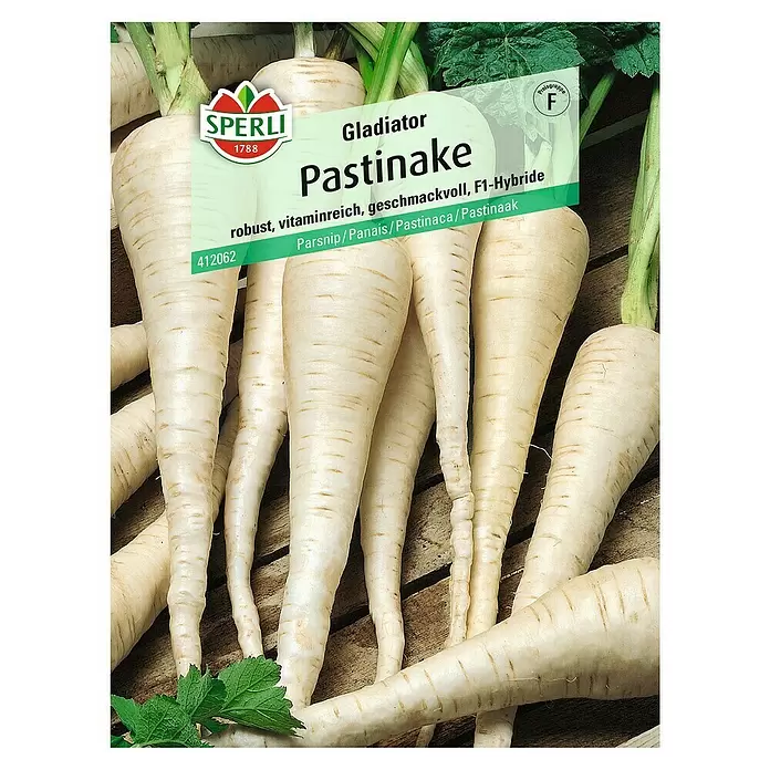 Sperli Gemüsesamen Pastinake - Pastinaca sativa, Erntezeit: Oktober - Vorderansicht