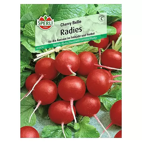 Sperli  Gemüsesamen Radies