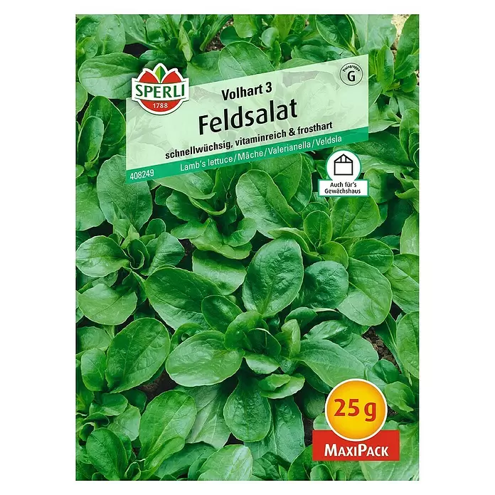Sperli Salatsamen Feldsalat - Volhart 3, Valerianella locusta, Erntezeit: Februar - Vorderansicht