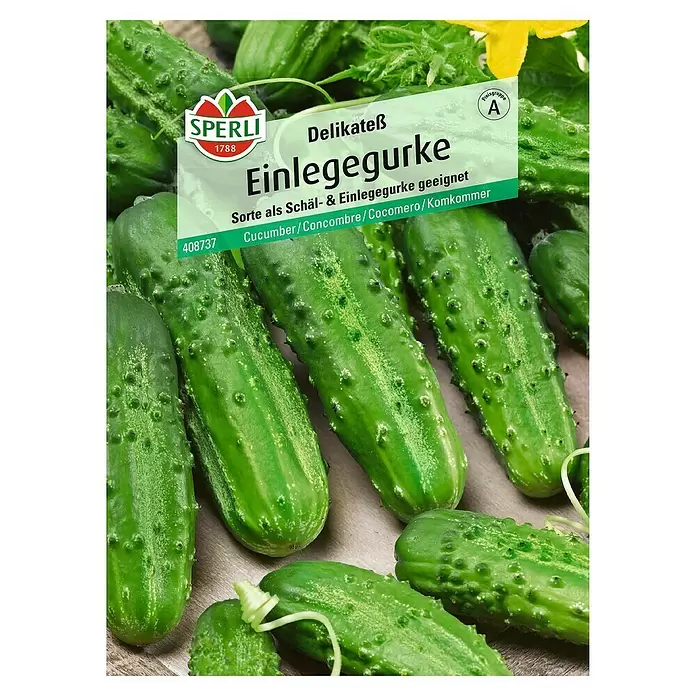 Sperli Gemüsesamen Einlegegurke - Delikateß, Cucumis sativus, Erntezeit: Juli - Vorderansicht