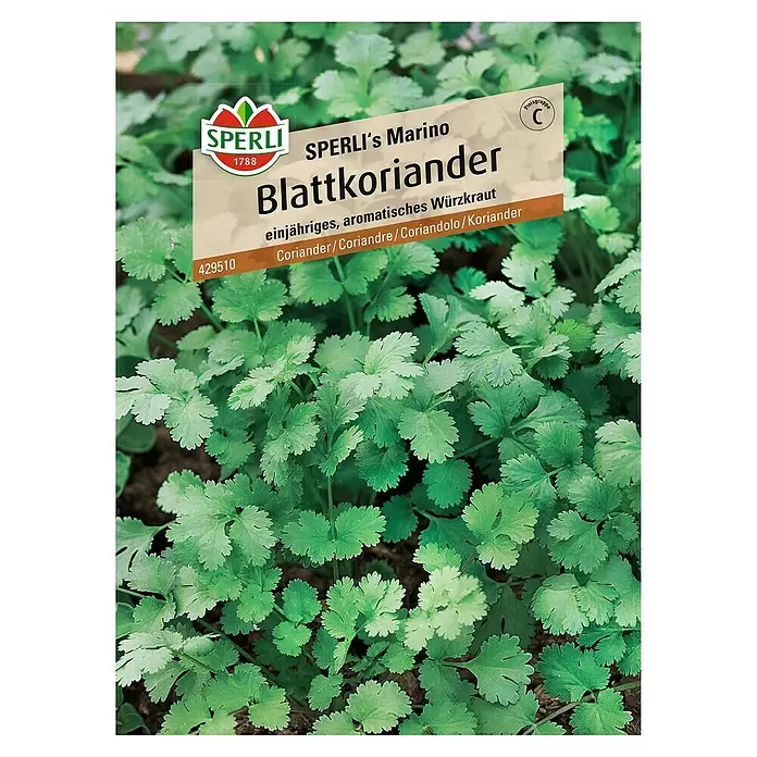 Sperli Kräutersamen Koriander Sperli's Marino - Coriandrum sativum, Saatzeit: April, Erntezeit: Juni - Vorderansicht