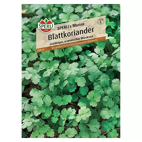 Sperli  Kräutersamen Koriander Sperli's Marino