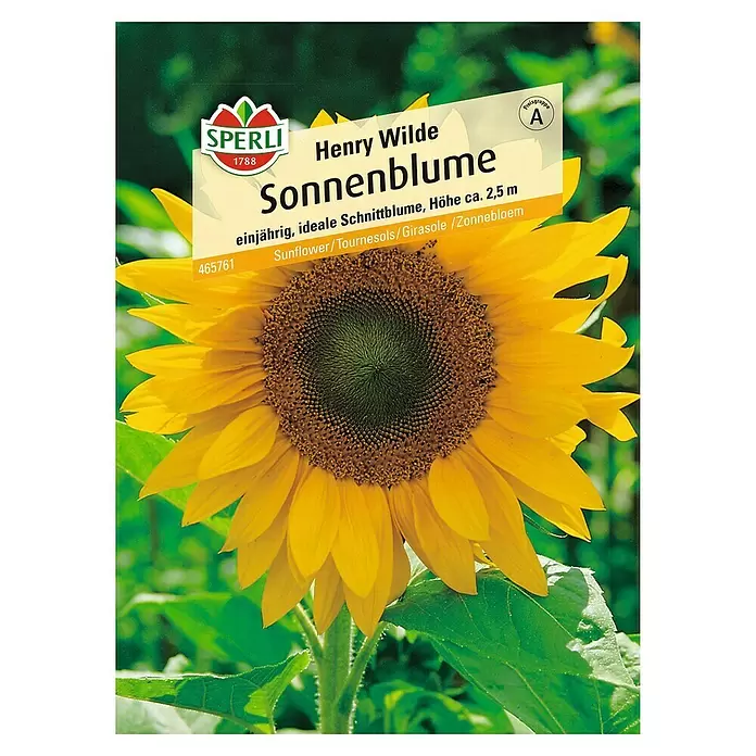 Sperli Blumensamen Sonnenblume - Henry Wilde, Helianthus annuus, Blütezeit: August - Vorderansicht