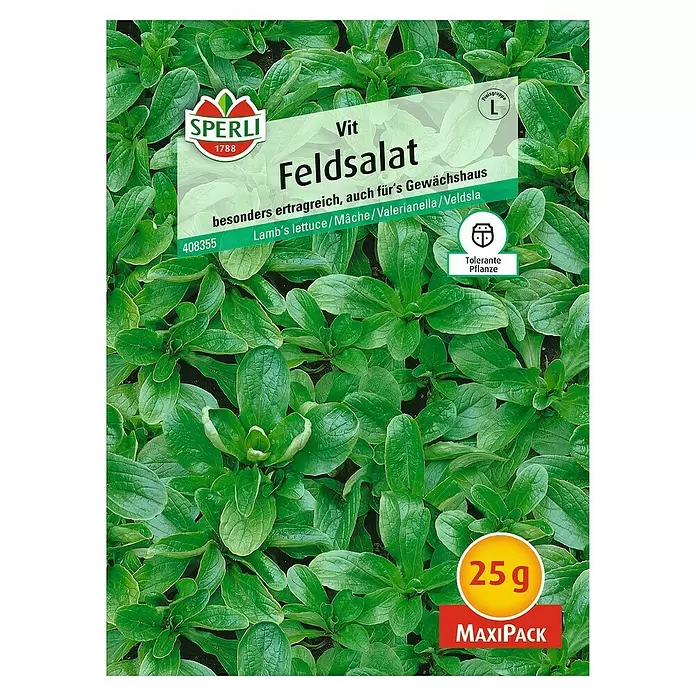 Sperli Salatsamen Feldsalat - Vit - Maxi Pack, Valerianella locusta, Erntezeit: Ganzjährig - Vorderansicht
