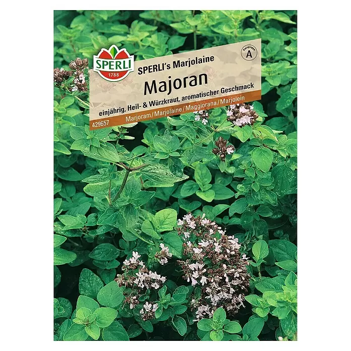 Sperli Kräutersamen Majoran - Origanum onites, Saatzeit: Mai, Erntezeit: August - Vorderansicht