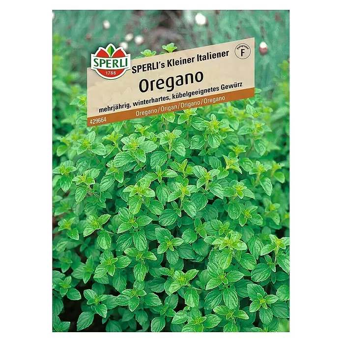 Sperli Kräutersamen Oregano Kleiner Italiener - Origanum vulgare, Saatzeit: Juni, Erntezeit: Juni - Vorderansicht