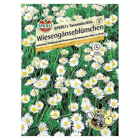 Sperli  Blumensamen Wiesengänseblümchen