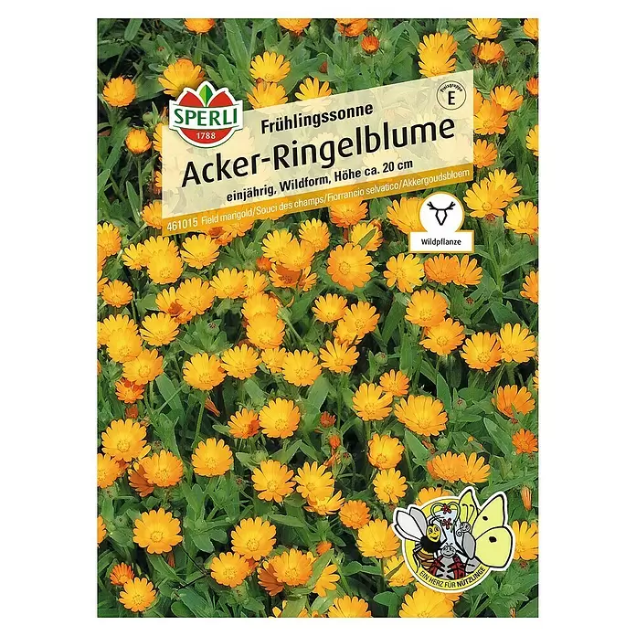 Sperli Blumensamen Acker-Ringelblume - Calendula arvensis, Blütezeit: Juli - Vorderansicht