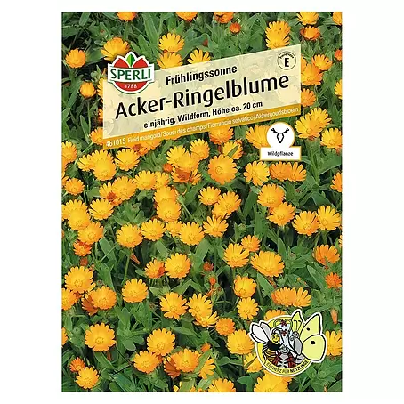 Sperli  Blumensamen Acker-Ringelblume