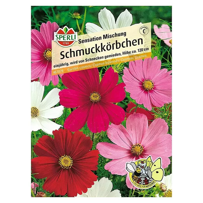 Sperli Blumensamen Schmuckkörbchen - Sensations Mischung, Cosmos bipinnatus, Blütezeit: Juli - Vorderansicht