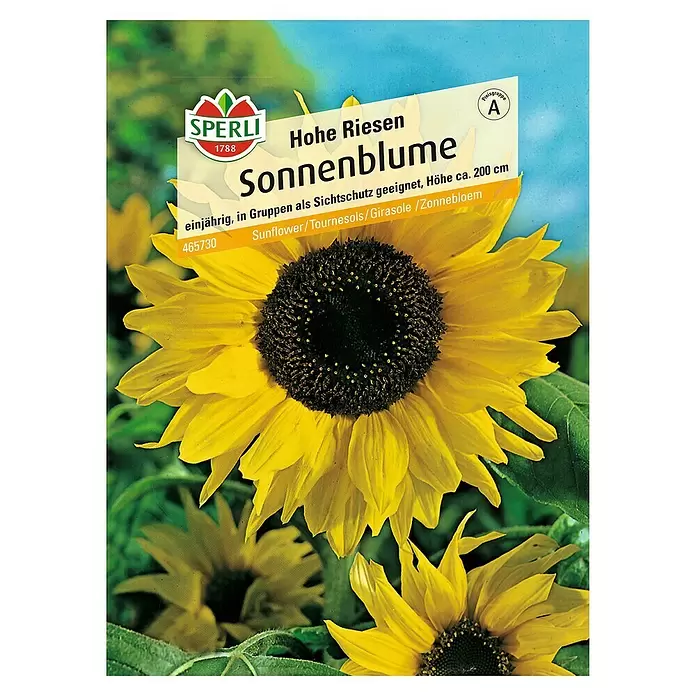 Sperli Blumensamen Sonnenblume - Hohe Riesen, Helianthus annuus, Blütezeit: August - Vorderansicht