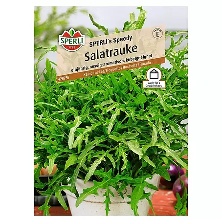 Sperli  Salatsamen Salatrauke Speedy