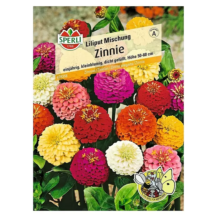 Sperli Blumensamen Zinnie - Zinnia elegans, Blütezeit: Juli - Vorderansicht
