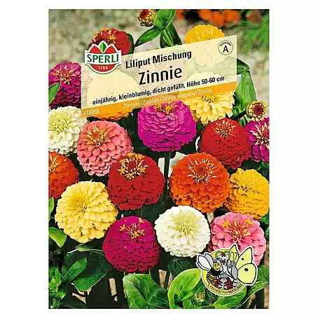 Sperli  Blumensamen Zinnie