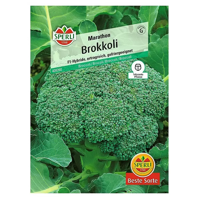 Sperli Gemüsesamen Brokkoli - Brassica oleracea, Erntezeit: Juni - Vorderansicht