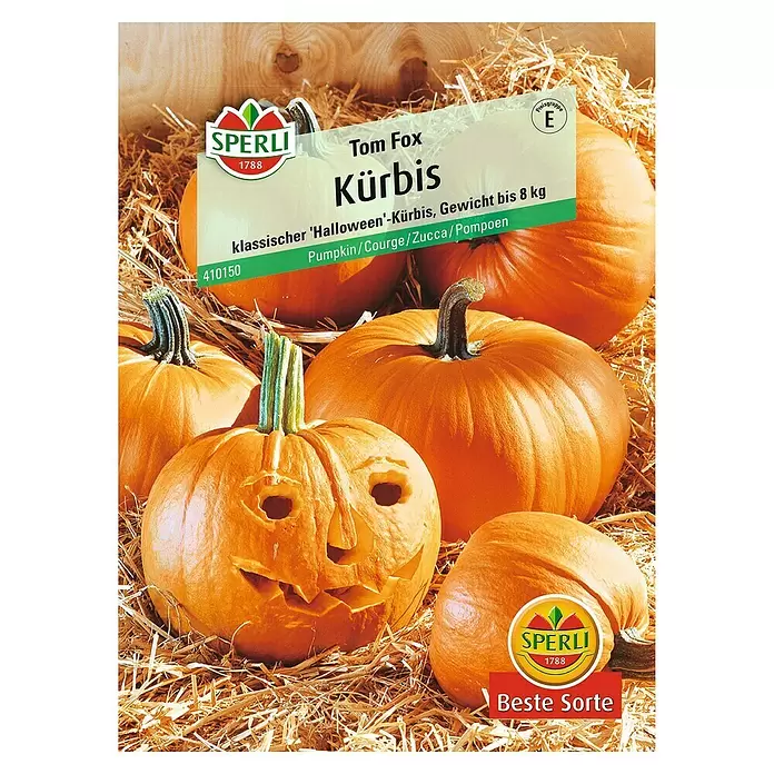 Sperli Gemüsesamen Kürbis - Tom Fox, Cucurbita pepo, Erntezeit: September - Vorderansicht