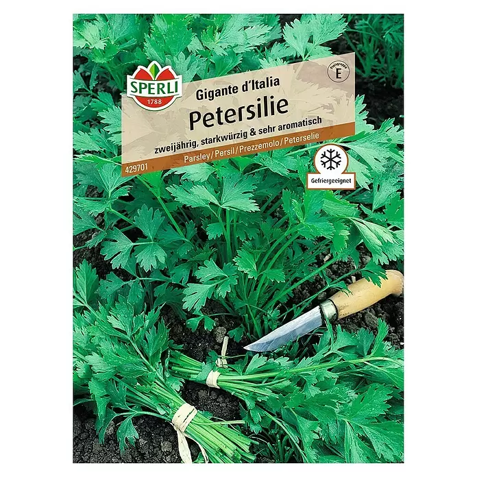 Sperli Kräutersamen Petersilie - Gigante d'Italia, Petroselinum crispum, Saatzeit: März, Erntezeit: Mai - Vorderansicht