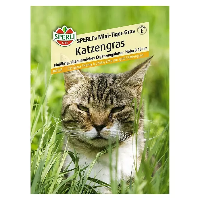 Sperli Saatgut Sperli's Mini-Tiger-Gras - Erntezeit: Ganzjährig - Vorderansicht