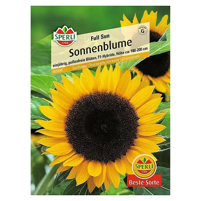 Sperli Blumensamen Sonnenblume - Full Sun, Helianthus annuus, Blütezeit: Juli - Vorderansicht