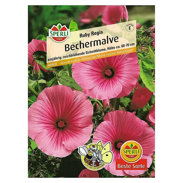 Sperli Blumensamen Bechermalve Ruby Regis - Lavatera trimestris, Blütezeit: Juli - Vorderansicht