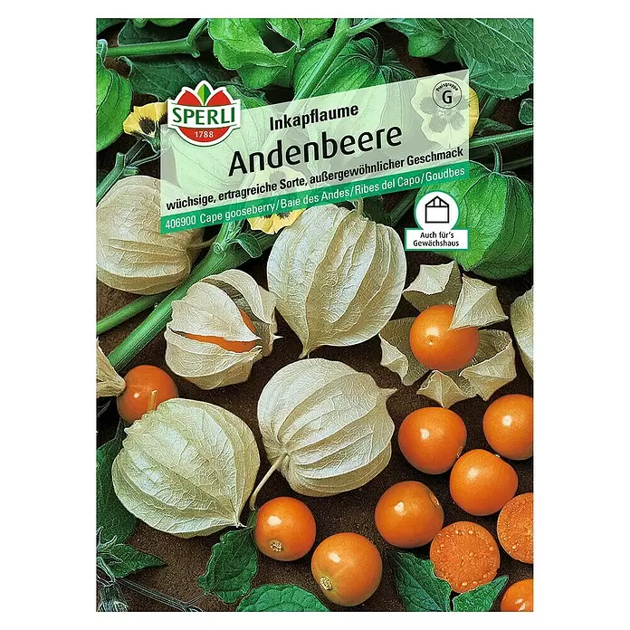 Sperli Obstsamen Andenbeere - Physalis peruviana, Erntezeit: August - Vorderansicht