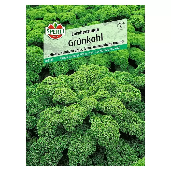 Sperli Gemüsesamen Grünkohl - Brassica oleracea, Erntezeit: Januar - Vorderansicht