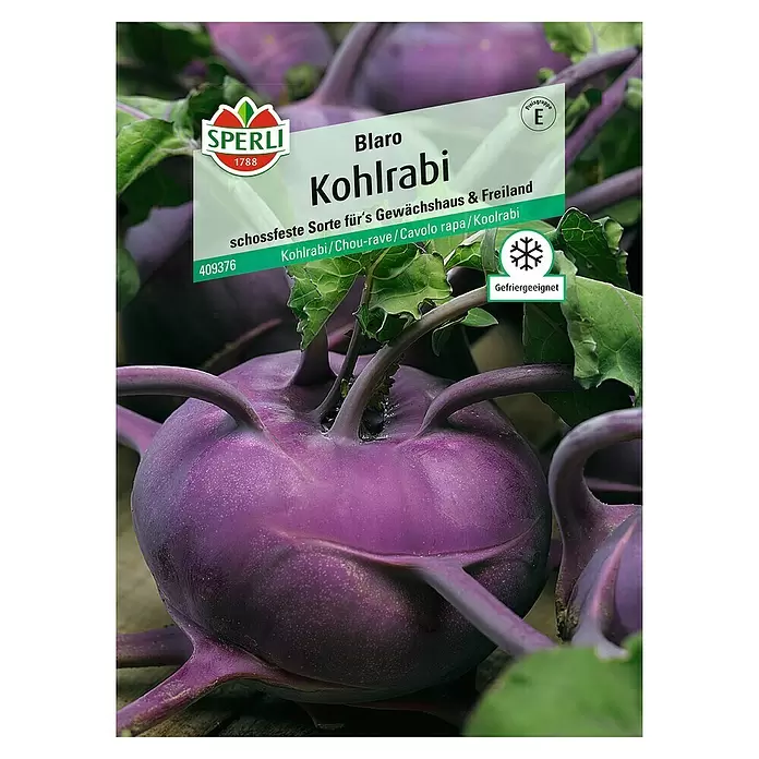 Sperli Gemüsesamen Kohlrabi - Blaro, Brassica oleracea, Erntezeit: Mai - Vorderansicht
