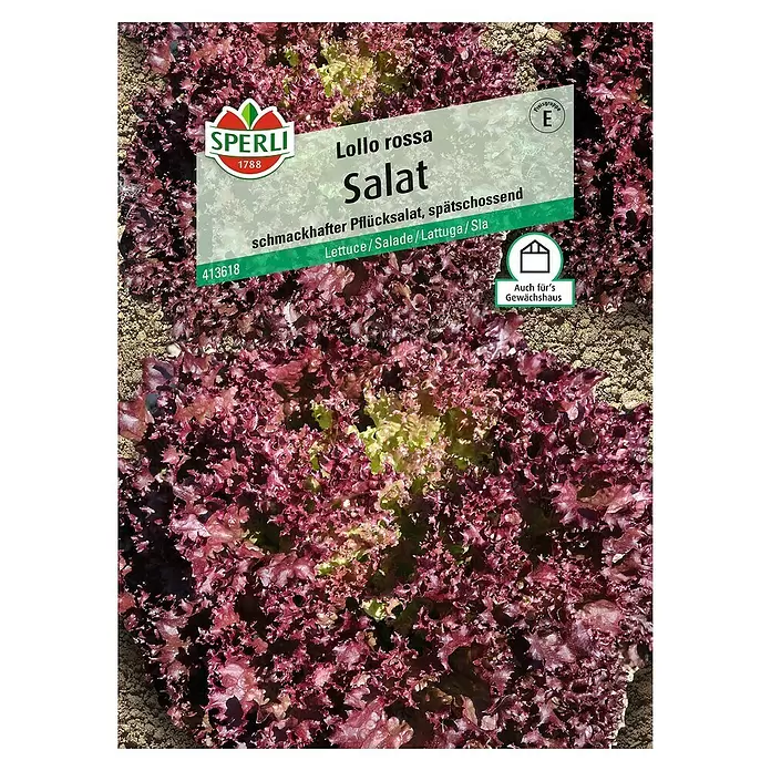 Sperli Salatsamen Pflücksalat - Lollo Rossa, Lactuca sativa, Erntezeit: Mai - Vorderansicht