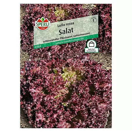 Sperli  Salatsamen Pflücksalat