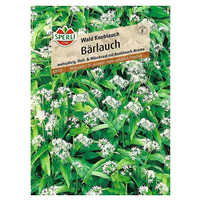 Sperli Gemüsesamen Bärlauch - Allium ursinum, Erntezeit: April - Vorderansicht