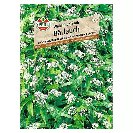 Sperli  Gemüsesamen Bärlauch