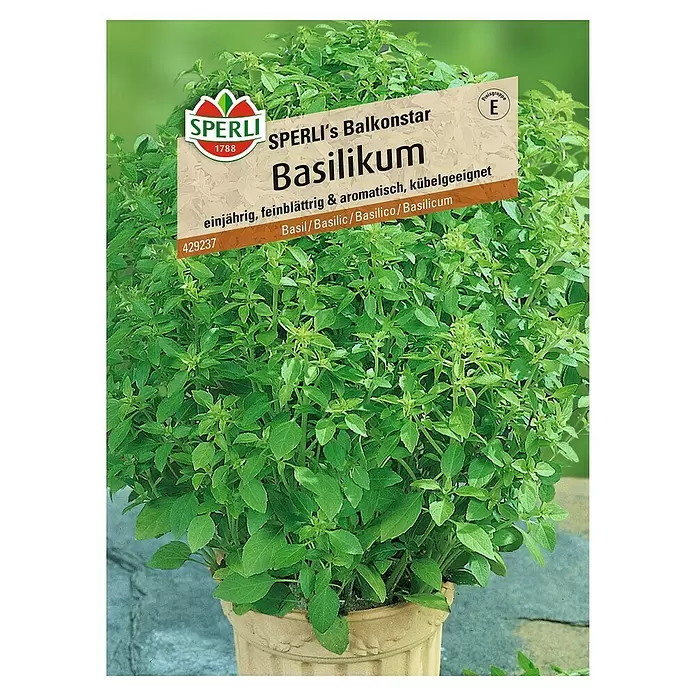 Sperli Kräutersamen Basilikum - Balkonstar, Ocimum basilicum, Saatzeit: Mai, Erntezeit: Ganzjährig - Vorderansicht