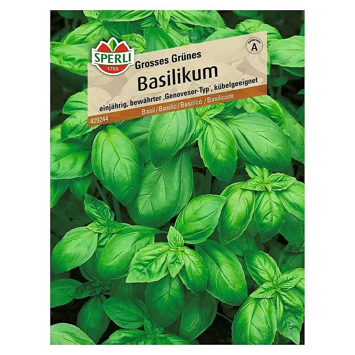 Sperli Kräutersamen Basilikum - Großes Grünes, Ocimum basilicum, Saatzeit: Mai, Erntezeit: Ganzjährig - Vorderansicht