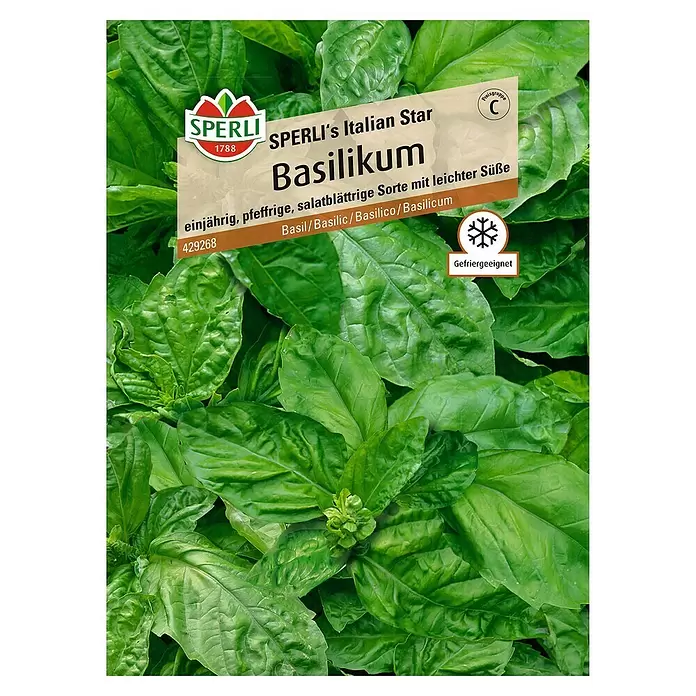 Sperli Kräutersamen Basilikum - Sperlis Italian Star, Ocimum basilicum, Saatzeit: Mai, Erntezeit: April - Vorderansicht