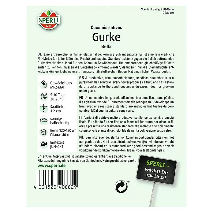 Sperli Gemüsesamen Salatgurke - Bella, Cucumis sativus, Erntezeit: Juni - Rückansicht