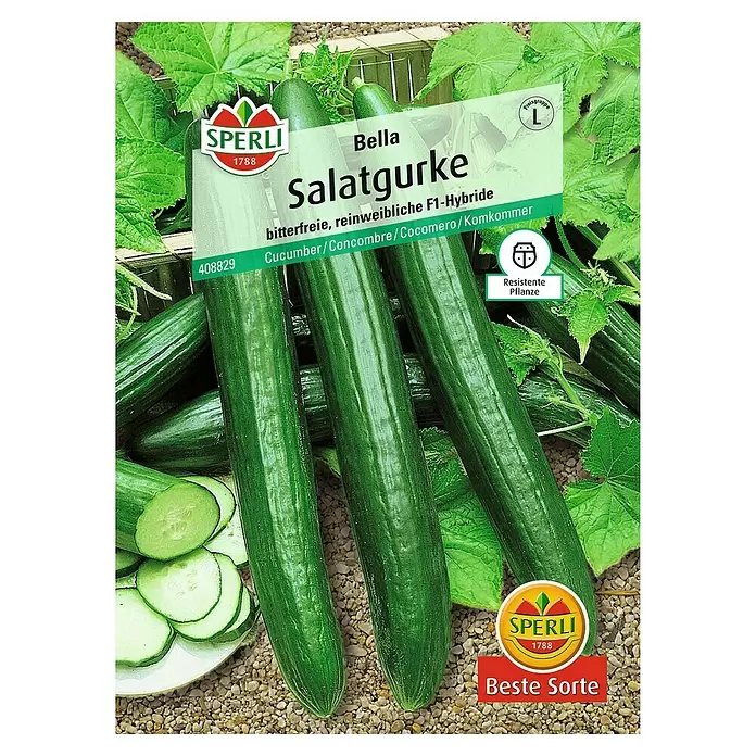Sperli Gemüsesamen Salatgurke - Bella, Cucumis sativus, Erntezeit: Juni - Vorderansicht