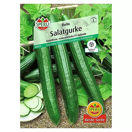 Sperli  Gemüsesamen Salatgurke