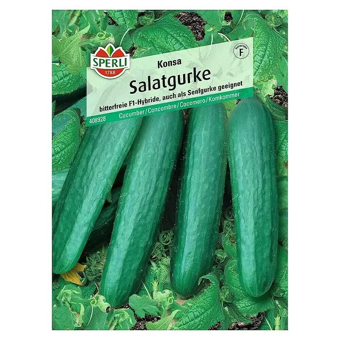 Sperli Gemüsesamen Salatgurke - Konsa, Cucumis sativus, Erntezeit: Juni - Vorderansicht