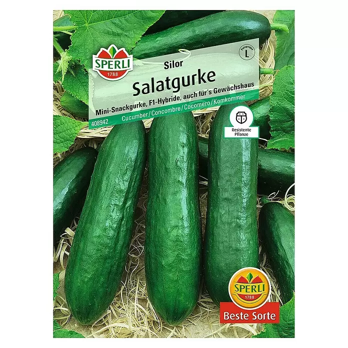 Sperli Gemüsesamen Salatgurke - Silor, Cucumis sativus, Erntezeit: Juni - Vorderansicht
