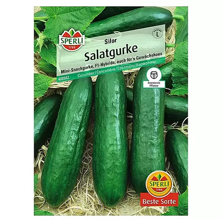 Sperli  Gemüsesamen Salatgurke