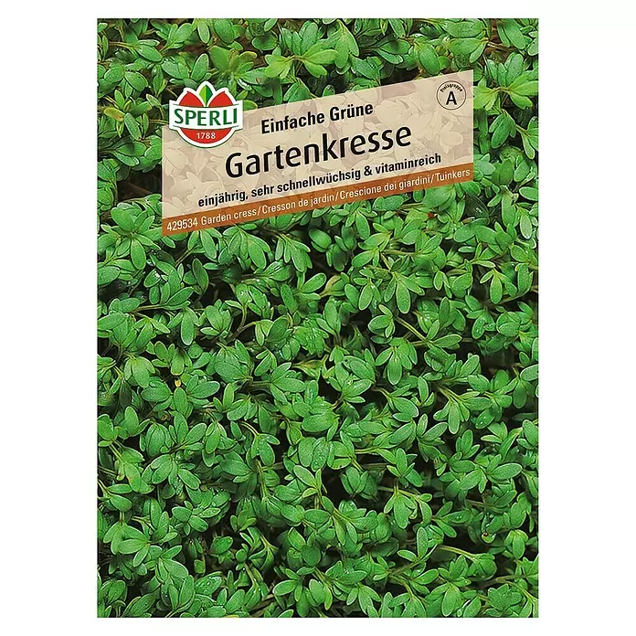 Sperli Kräutersamen Gartenkresse - Einfache Grüne, Lepidium sativum, Saatzeit: April, Erntezeit: Ganzjährig - Vorderansicht