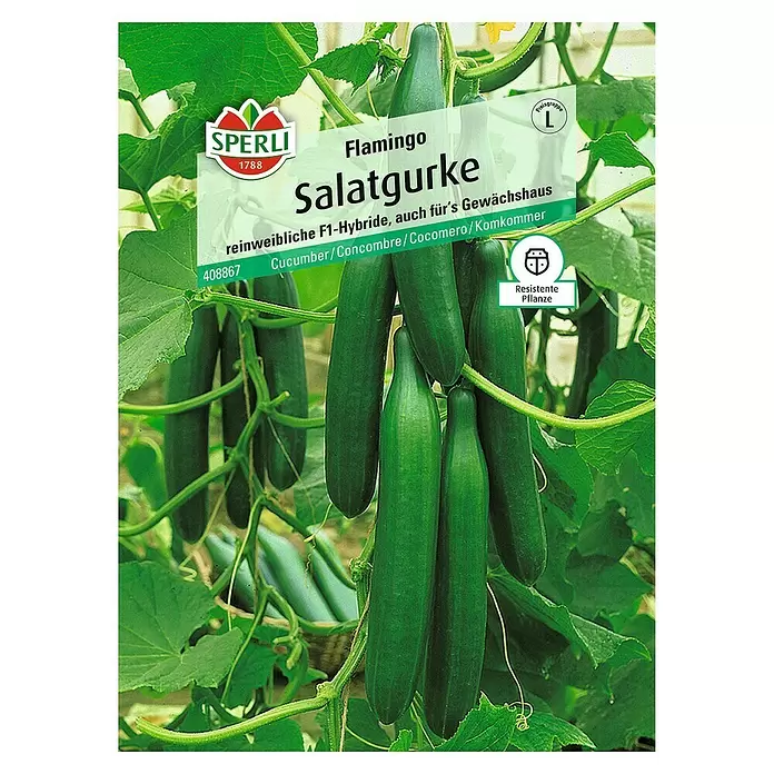 Sperli Gemüsesamen Salatgurke - Flamingo, Cucumis sativus, Erntezeit: Juni - Vorderansicht