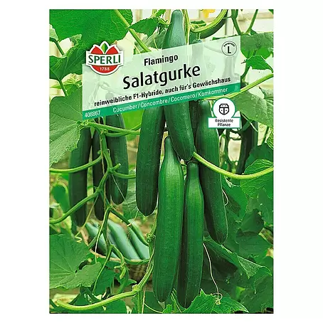Sperli  Gemüsesamen Salatgurke