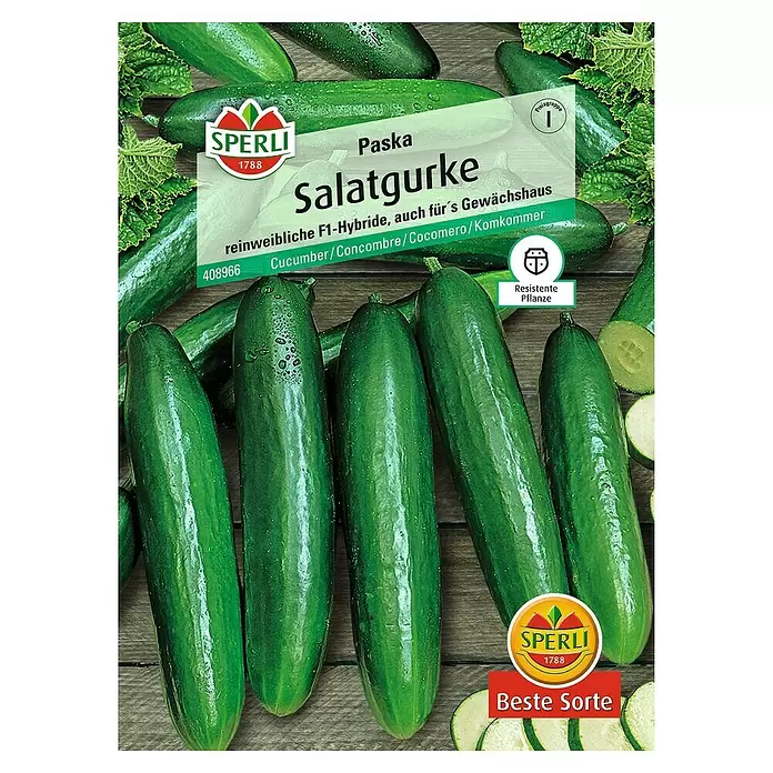 Sperli Gemüsesamen Salatgurke - Paska, Cucumis sativus, Erntezeit: Juli - Vorderansicht