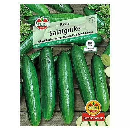 Sperli  Gemüsesamen Salatgurke